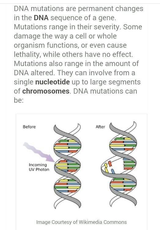 3. Forces of evolution include a. DNA mutations b. lack of migration c. random mating-example-1