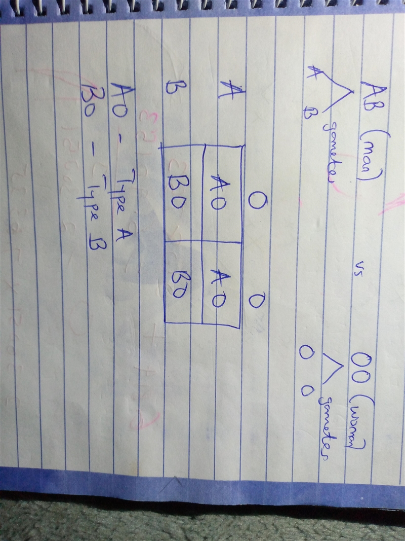 A woman with type O blood (OO), which is a recessive condition, has a child with a-example-1