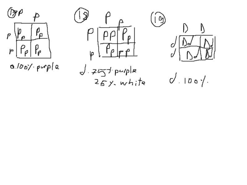 Please help! 23 points! don’t do number 20!-example-1