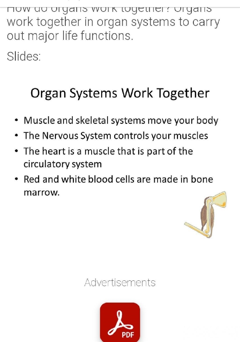 I have a test in biology 9th grade, it’s about organ system and how the orange work-example-1