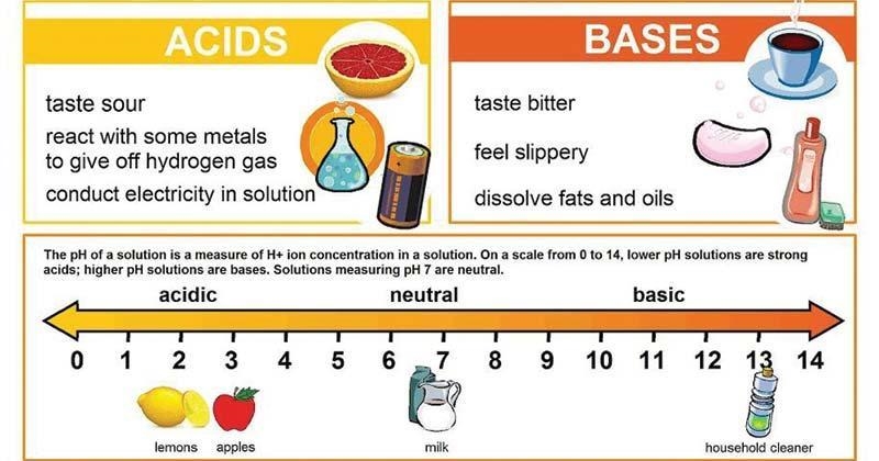 You where these terms were introduced. 1. Describe the difference(s) between the following-example-1