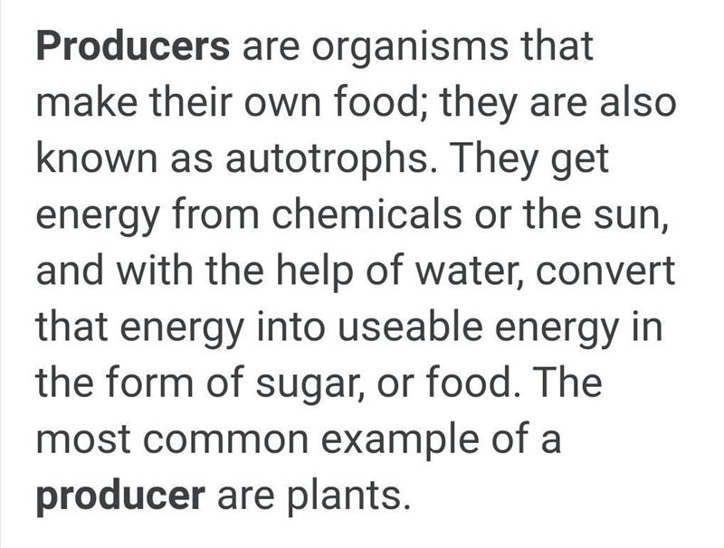 1. Define the following terms: a.Producer b.Autotraph c.Consumer d.Heterotroph e.Chemosynthesis-example-1