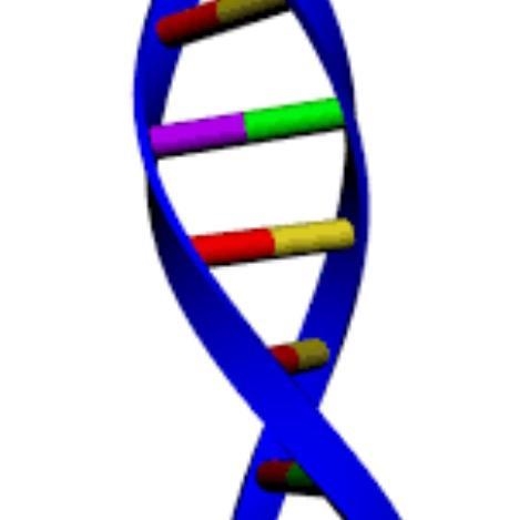 What is the name of the shape of the DNA molecule?-example-1