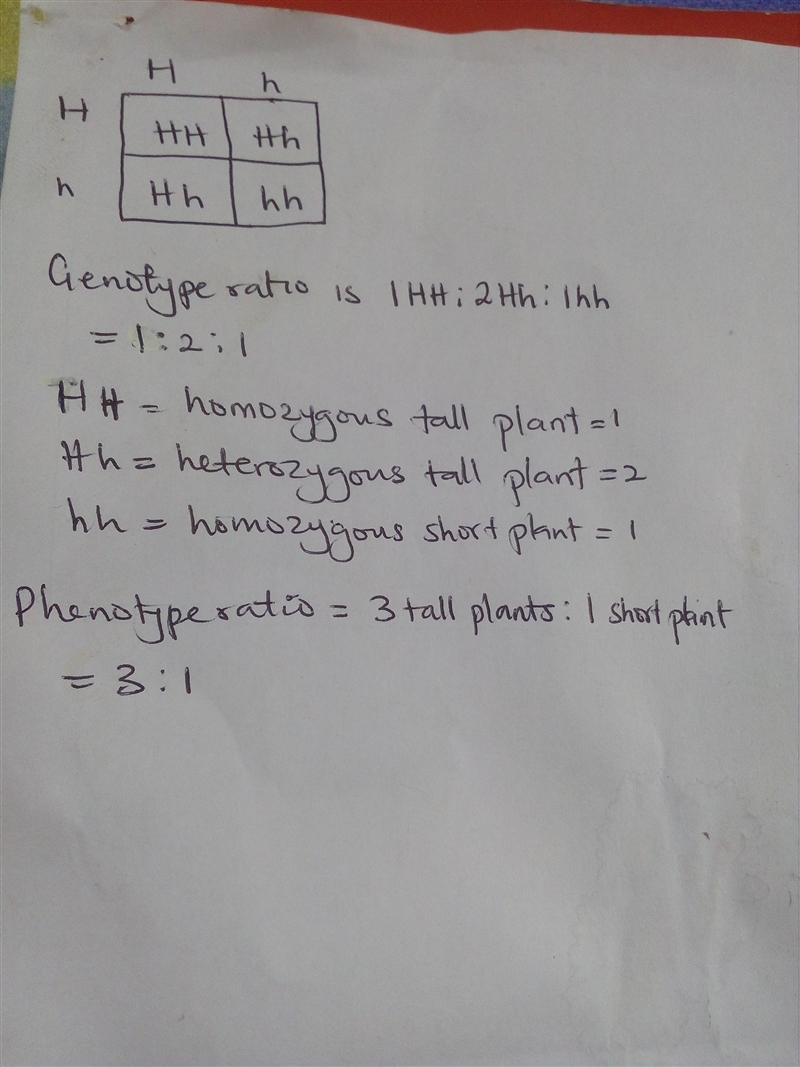 In pea plants, plant height is controlled by a single autosomal dominant gene. Tall-example-1