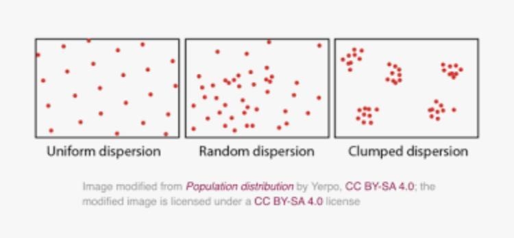 A scientist is studying the population dispersion of an animal. She is trying to determine-example-1