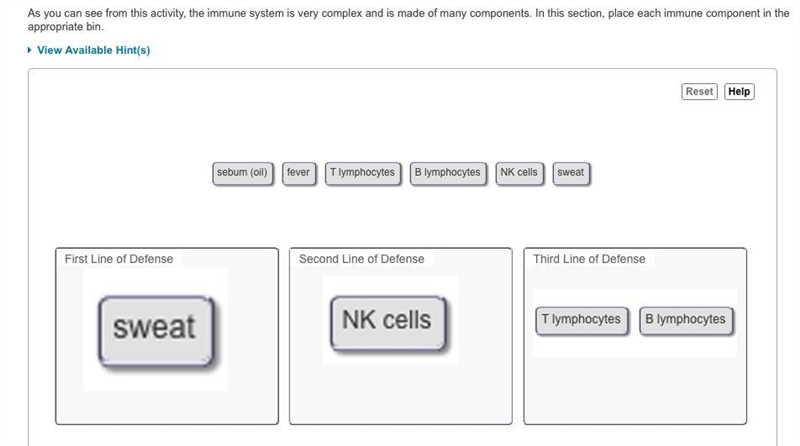 As you can see from this activity, the immune system is very complex and is made of-example-1