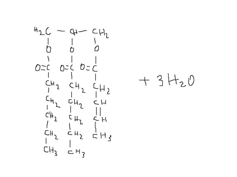 What is the chemical equation that shows the dehydration synthesis that creates the-example-1