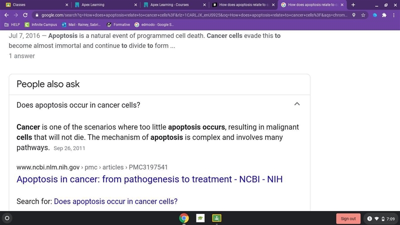 How does apoptosis relate to cancer cells? A. In cancer cells, too much apoptosis-example-1