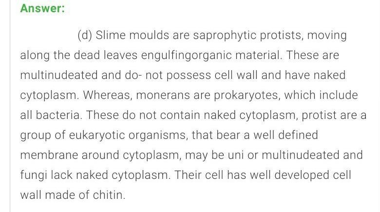 Naked cytoplasm , multinucleated and saprophytic are characteristics of: a)Monera-example-1