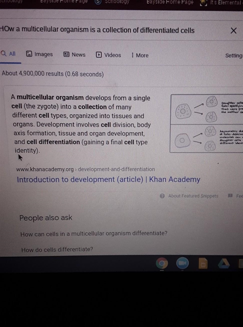 Explain How a multicellular organism is a collection of differentiated cells.-example-1