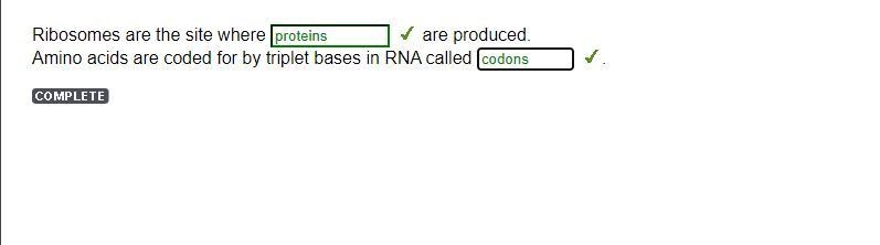 Ribosomes are the site where are produced. Amino acids are coded for by triplet bases-example-1