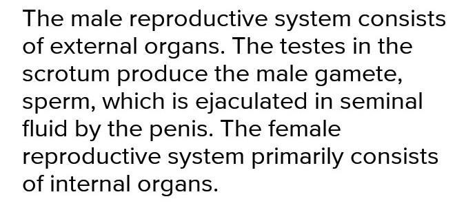 Diff. between male and female reproduction system​ please answer fast-example-1