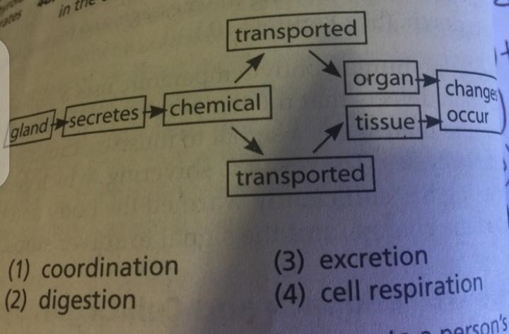 Which important human process is represented in the diagram below? * 1 point transported-example-1