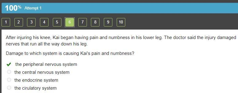 After injuring his knee, Kai began having pain and numbness in his lower leg. The-example-1