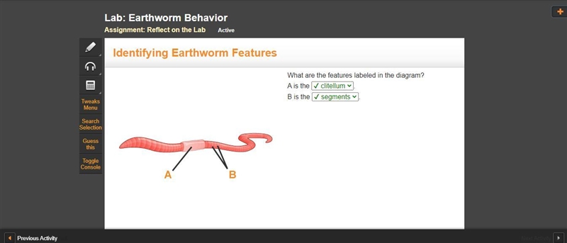 What are the features labeled in the diagram? A is the . B is the .-example-1