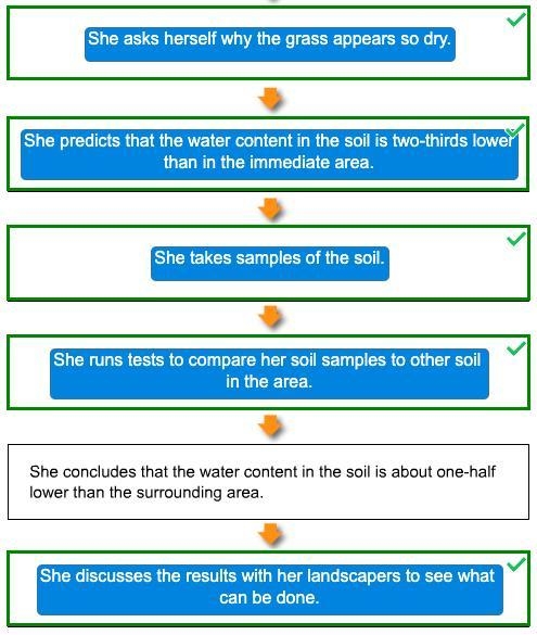 What order do they go in? Drag each statement to the correct location. Arya observes-example-1