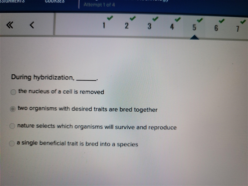 During hybridization-example-1