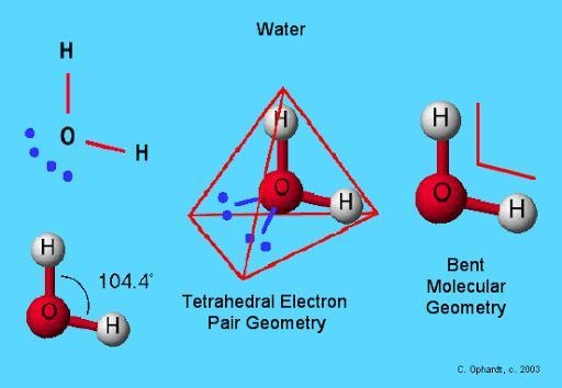 Which is a characteristic of the polar water molecule? a tetrahedral electron domain-example-1