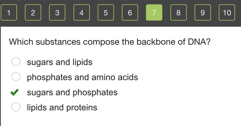 Which substances compose the backbone of DNA? sugars and lipids phosphates and amino-example-1