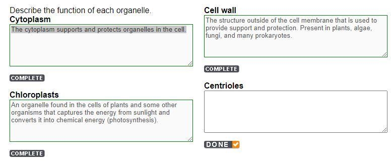 Describe the function of each organelle. Cytoplasm-example-1