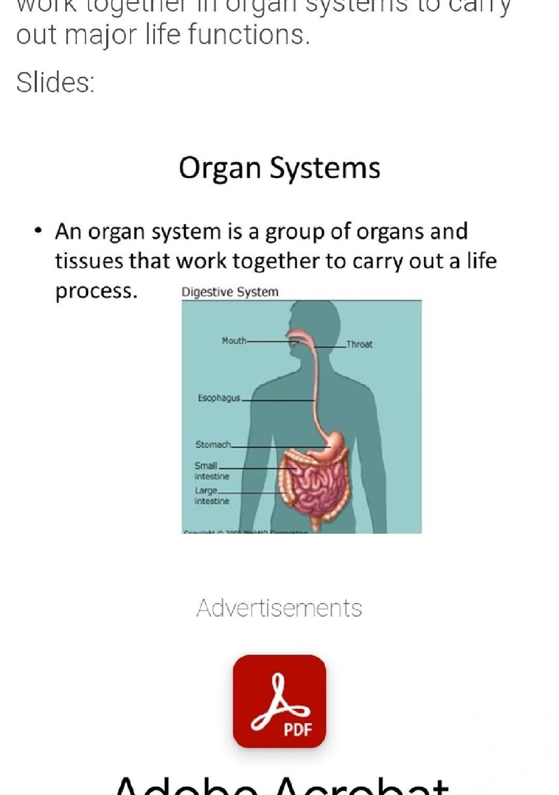 I have a test in biology 9th grade, it’s about organ system and how the orange work-example-2