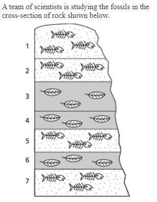 A team of scientists is studying the fossils in the cross-section of rock shown below-example-1