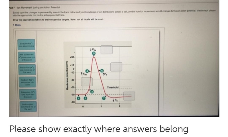 Based upon the changes in permeability seen in the trace below and your knowledge-example-1