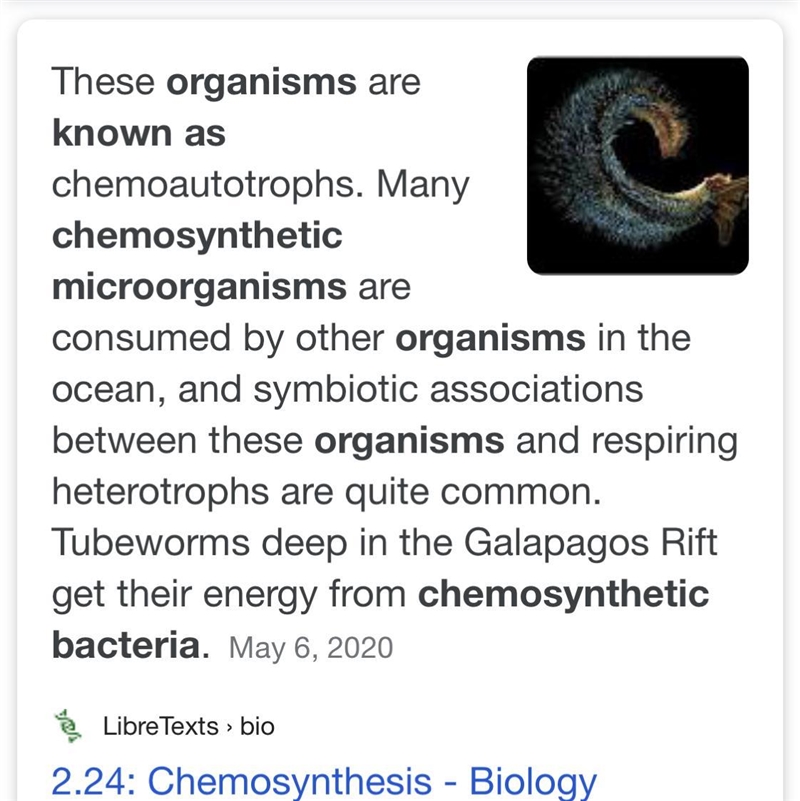 Organisms that perform chemosynthesis can be referred to as... (Select all that apply-example-1