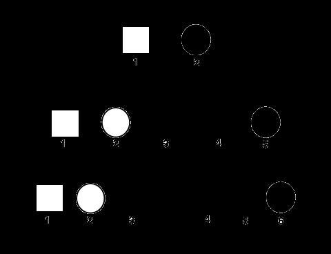 The pedigree below tracks Duchenne Muscular Dystrophy (DMD) through several generations-example-1