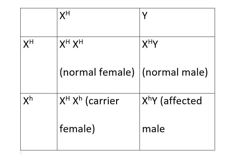 2. Tim and Stephanie are devastated when the recessive disease. Tim is shocked because-example-1