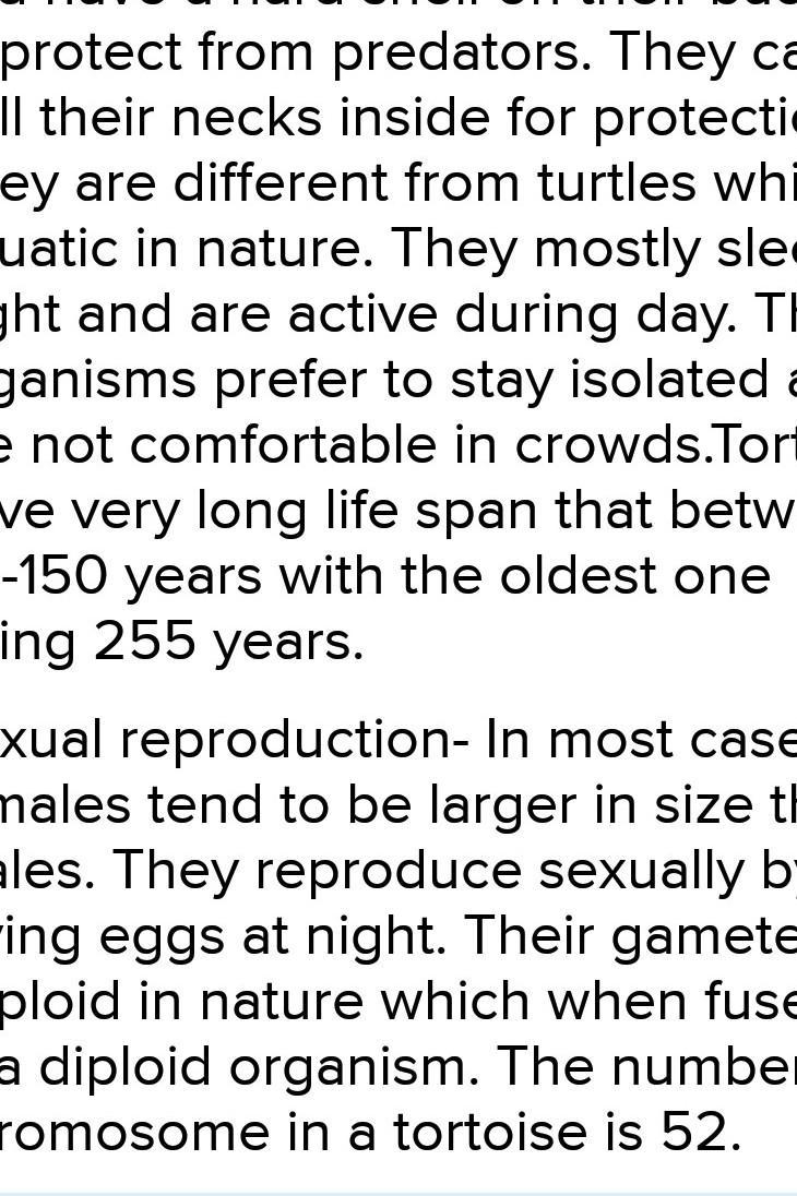 Describe the organism (physical appearance, habitat, function, history, etc.). Draw-example-2