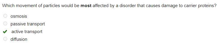 Which movement of particles would be most affected by a disorder that causes damage-example-1