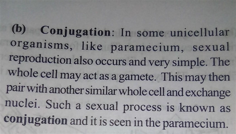 When does conjugation occurs in paramecium​-example-3