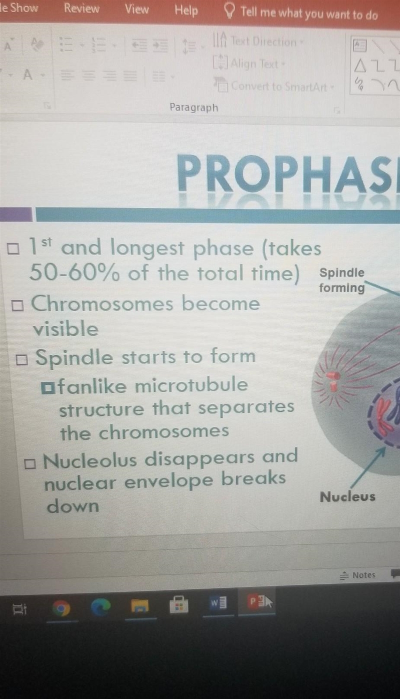 Put the steps of mitosis in the correct order-example-1