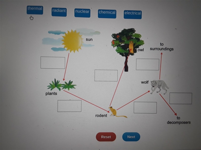 Drag each label to the correct location on the diagram. Each label can be used more-example-1