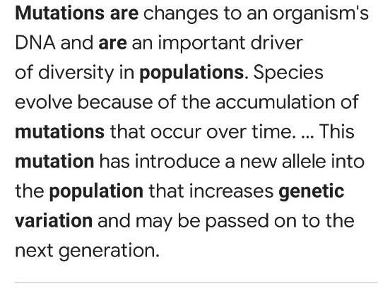 How do genetic mutations lead to variation in a population?-example-1