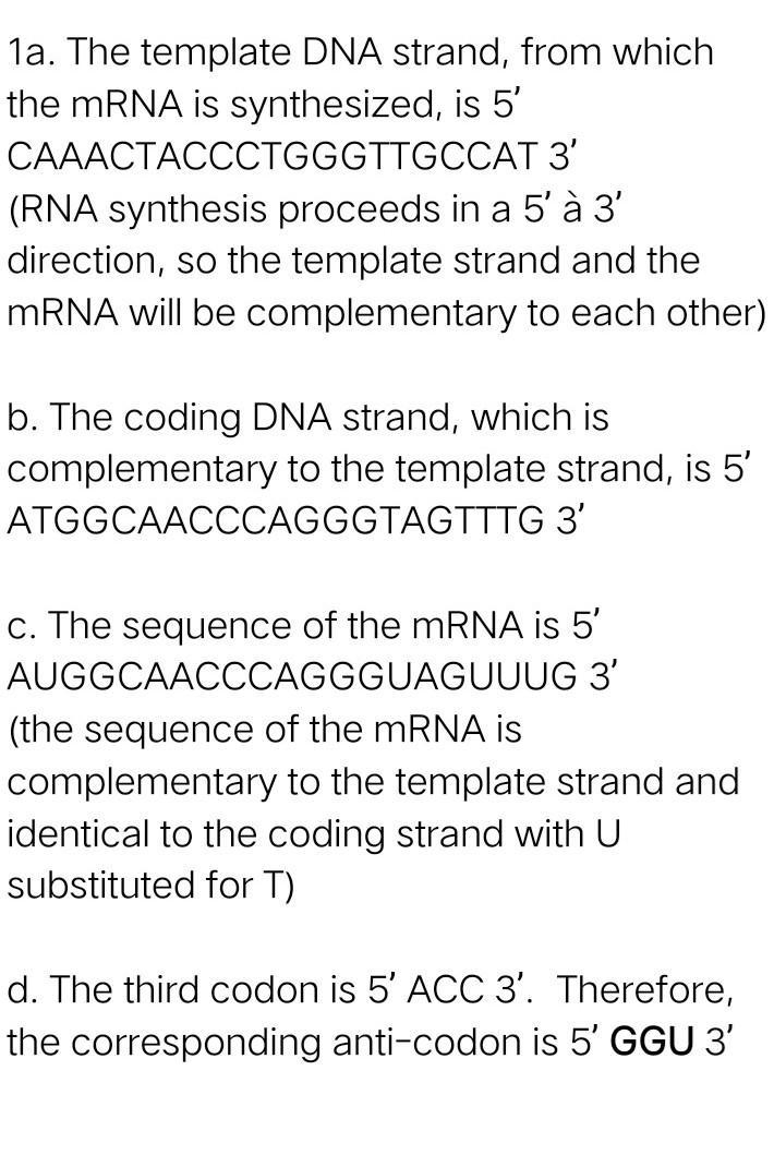 Determine the complementary RNA and the amino acids-example-1