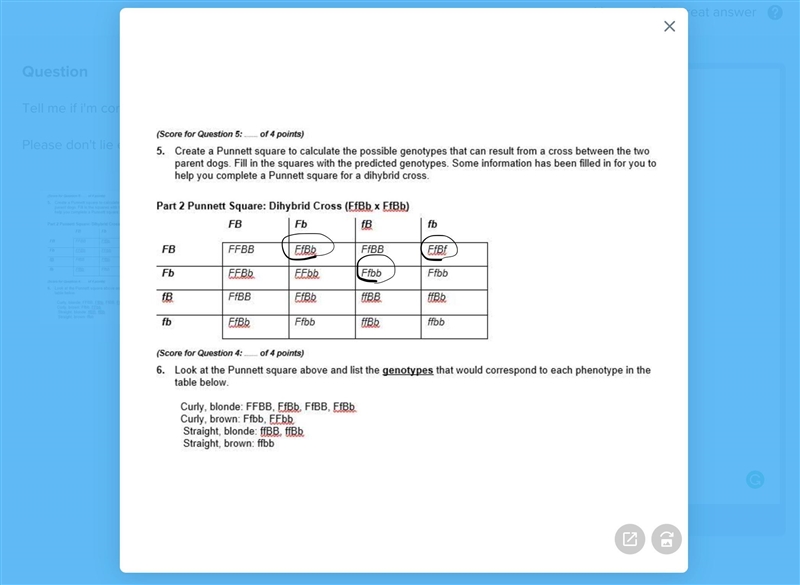 Tell me if i'm correct please Please don't lie either :(-example-1