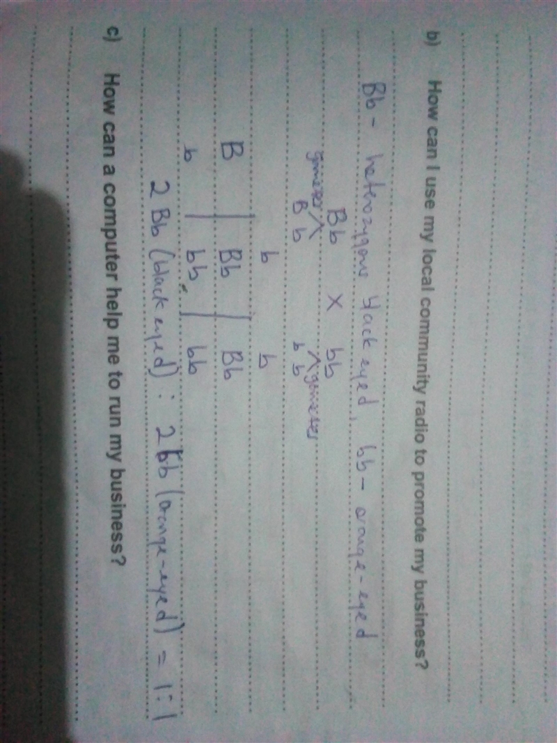 If B represents the allele for black eyes (dominant) and b represents the allele for-example-1