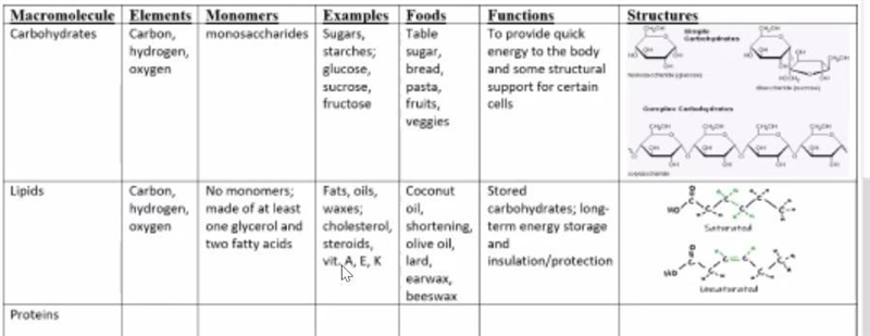 Please help me complete this molecules of life chart by tomorrow night I tried please-example-1