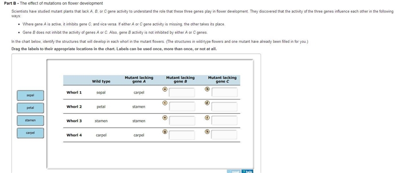 In the chart below, identify the structures that will develop in each whorl in the-example-2