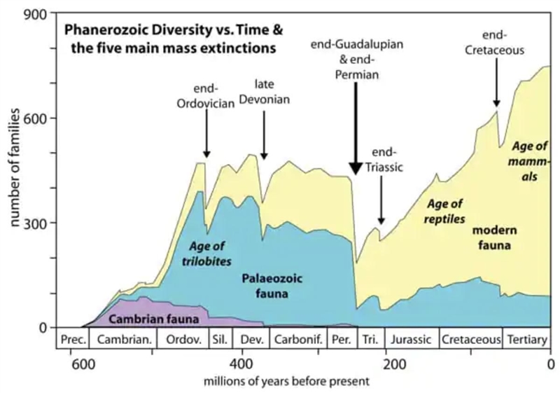 The complexity of life has _____ throughout Maryland's 4.6 billion year history. what-example-1