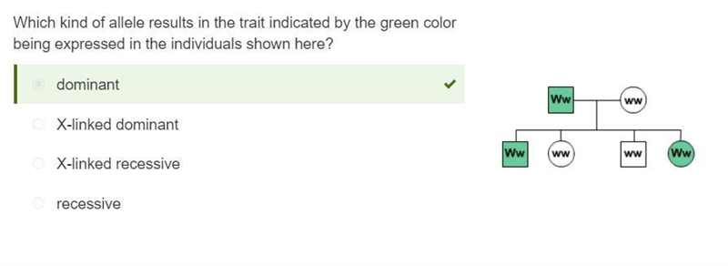 Which kind of a allele results in the trait indicated by the green color being expressed-example-1