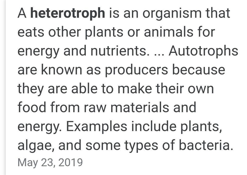 1. Define the following terms: a.Producer b.Autotraph c.Consumer d.Heterotroph e.Chemosynthesis-example-5