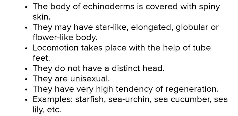 What are four major characteristics of the phylum Echinoderms?-example-1