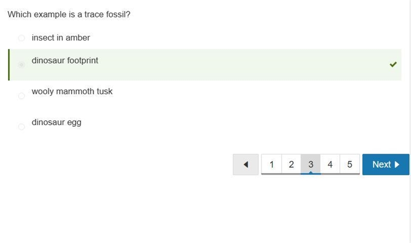 Which example is a trace fossil? A. insect in amber B. dinosaur footprint C. dinosaur-example-3