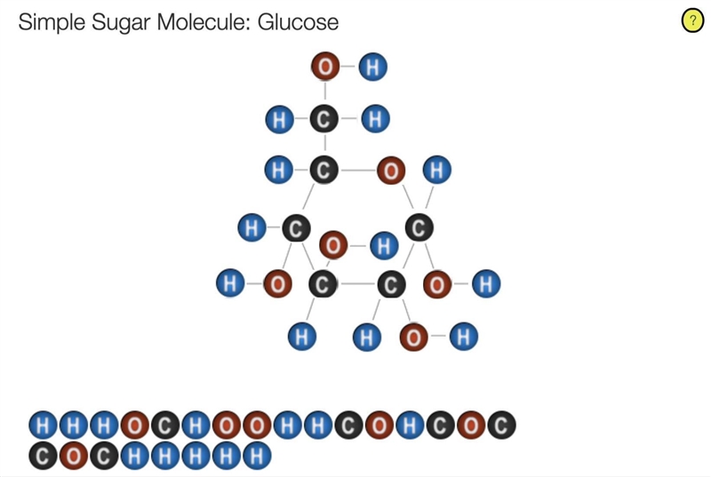 100 points! Complete the simple sugar molecule Glucose. Please fill out the diagram-example-1