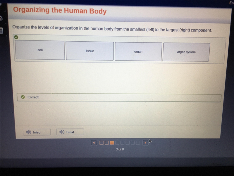 Organizing the Human Body Organize the levels of organization in the human body from-example-1