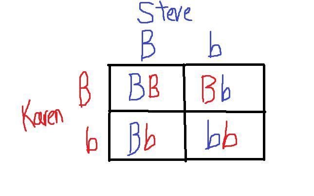 Karen and Steve each have a sibling with sickle-cell disease (recessive disorder). Neither-example-1