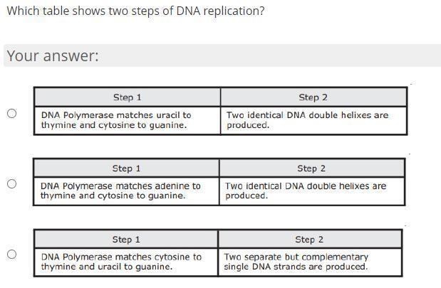 The model represents the change in the DNA content of a cell during the cell cycle-example-1